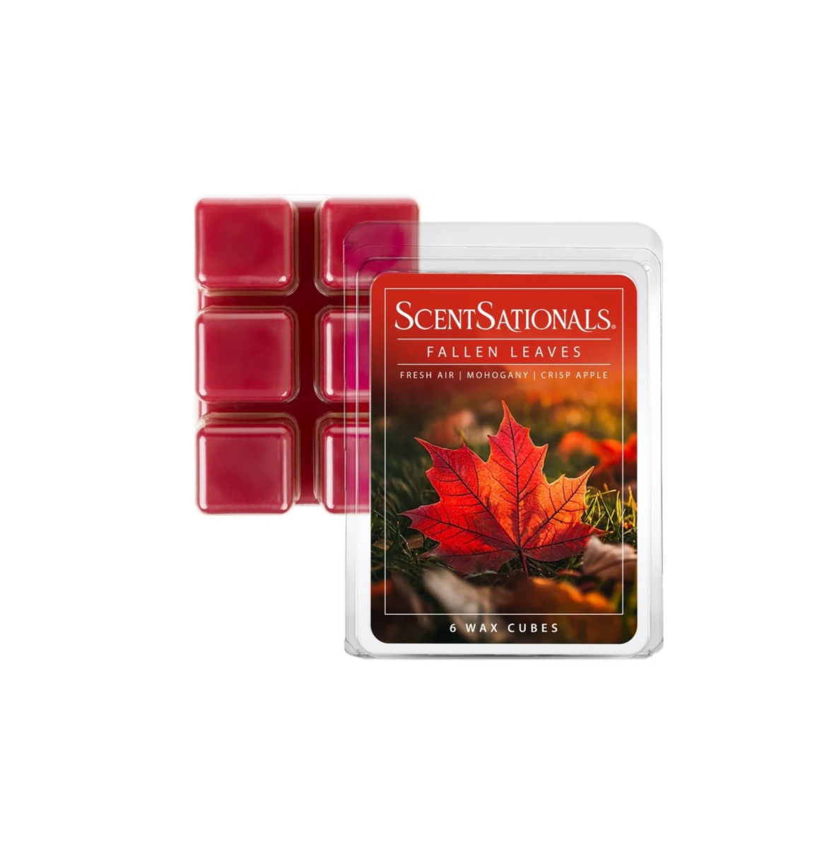 ScentSationals 6 Wax Melts Fallen Leaves