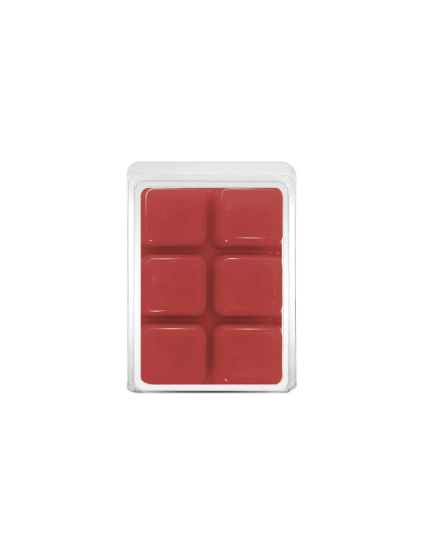 Scentsationals Wax Melts Caramel Pumpkin Rear View