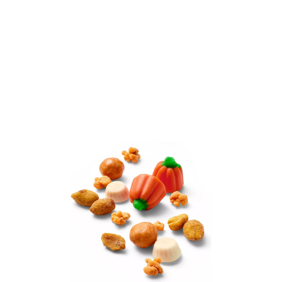 Target Favorite Day Trail Mix Pumpkin Spice