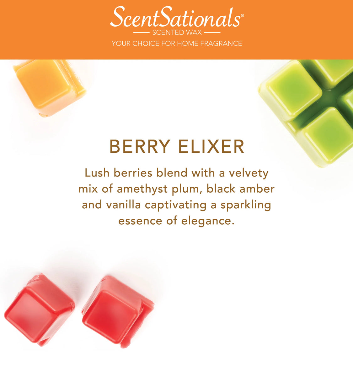 ScentSationals Wax Melts - BERRY ELIXIR HOCUS POCUS