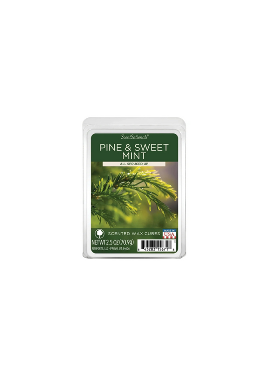 Scentsationals Wax Melts Pine And Sweet Mint Front View