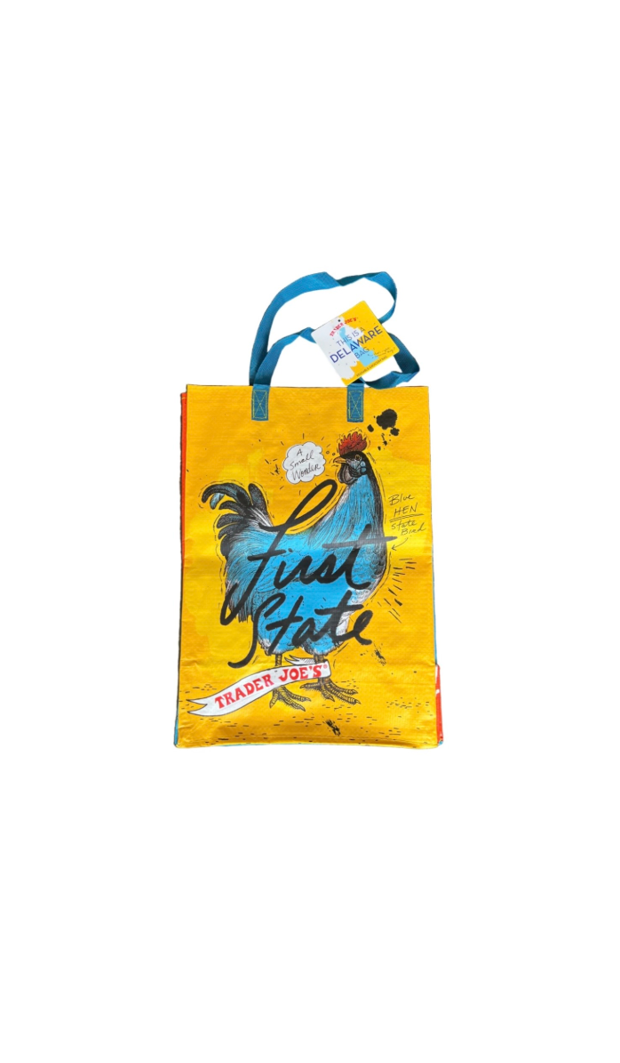 Trader Joe’s Eco fun reusable grocery bag Delaware Front View